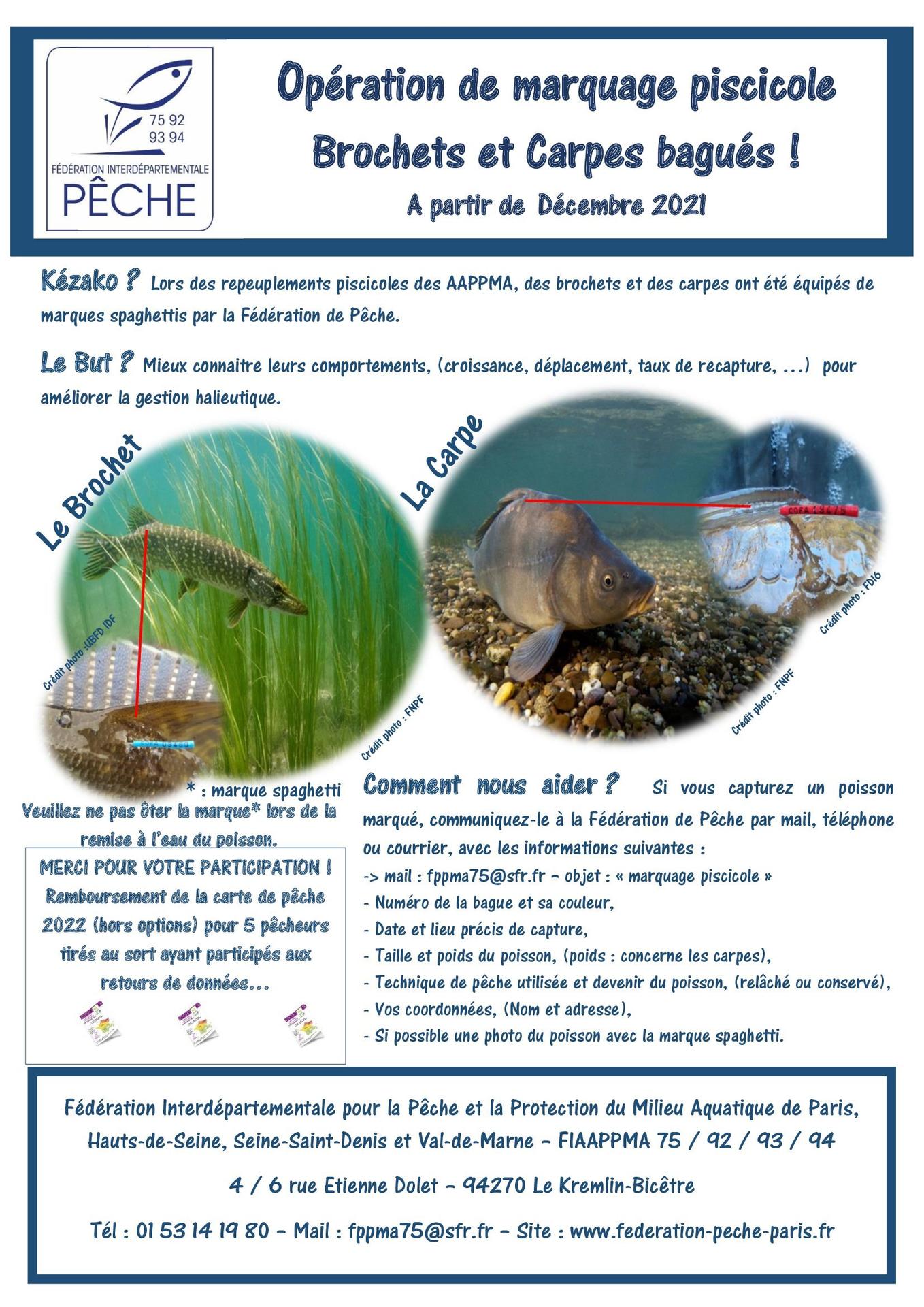 La pêche de la carpe - Fédération de Pêche du Gard