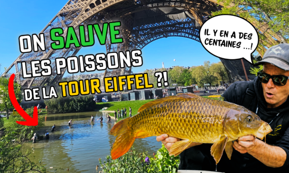 Vidéo : Une pêche de sauvetage à la Tour Eiffel !