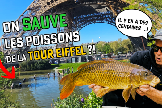 Vidéo : Une pêche de sauvetage à la Tour Eiffel !